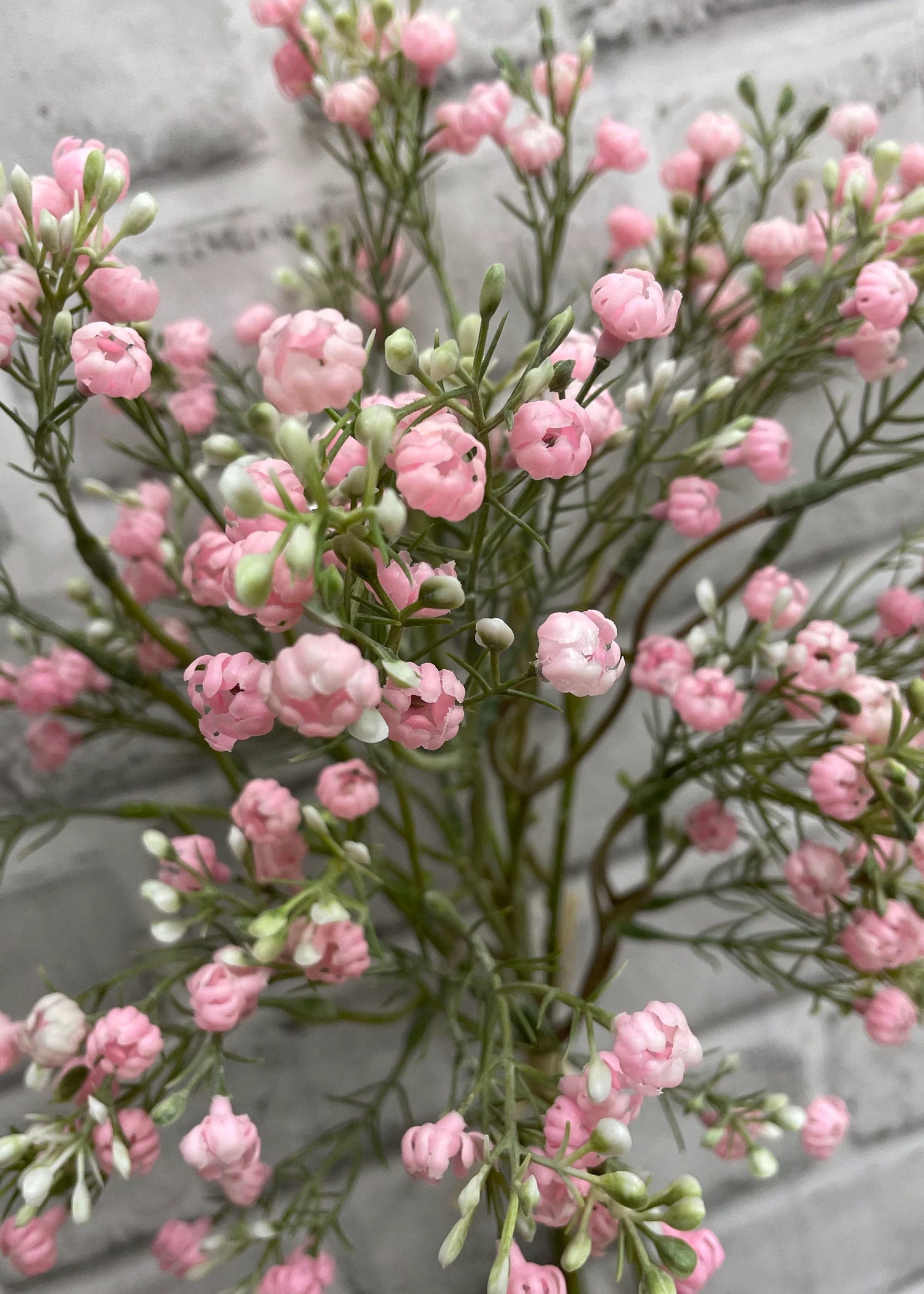 14" PINK BABY'S BREATH BUNDLE X 5
