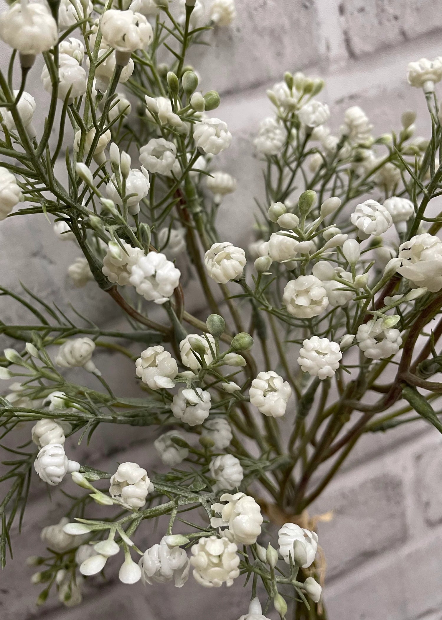 14" WHITE BABY'S BREATH BUNDLE X 5