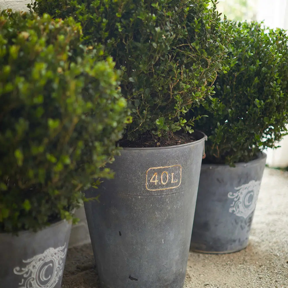 Zinc Antiquing Solution