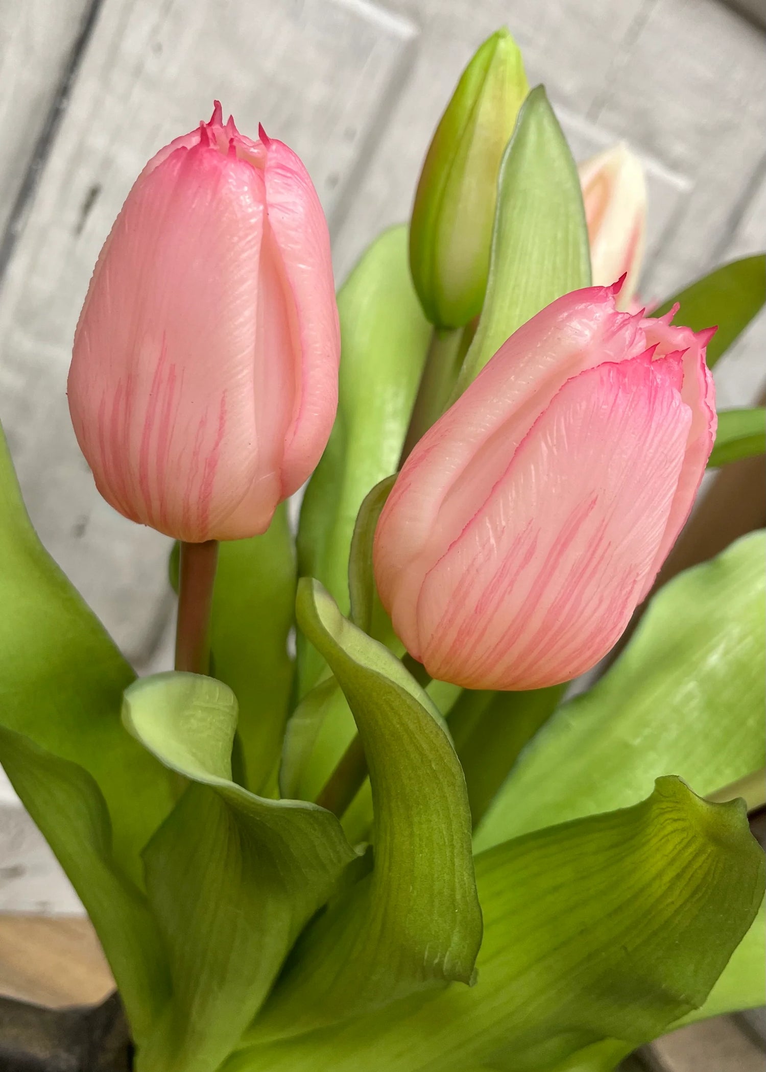 12" PINK FRESH TOUCH DYNASTY TULIP BUNDLE (4 FLOWERS & 3 BUDS TO A BUNDLE)