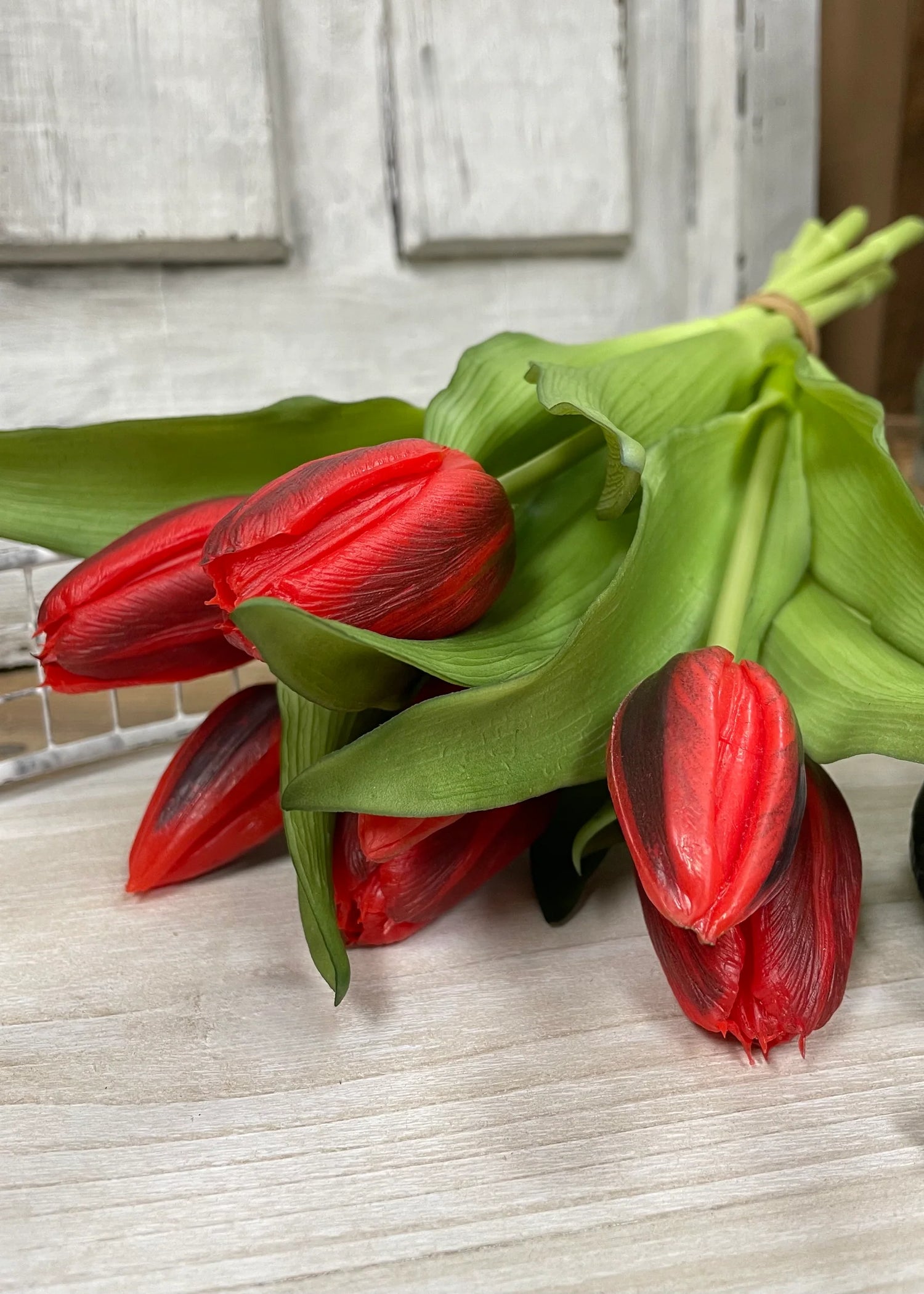 12" FRESH TOUCH RED FORMOSA TULIP BUNDLE (4 FLOWERS & 3 BUDS TO A BUNDLE)