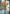 18" FRESH TOUCH RUFFLED ORANGE PARROT TULIP BUNDLE (3 FLOWERS & 2 BUDS TO A BUNDLE)