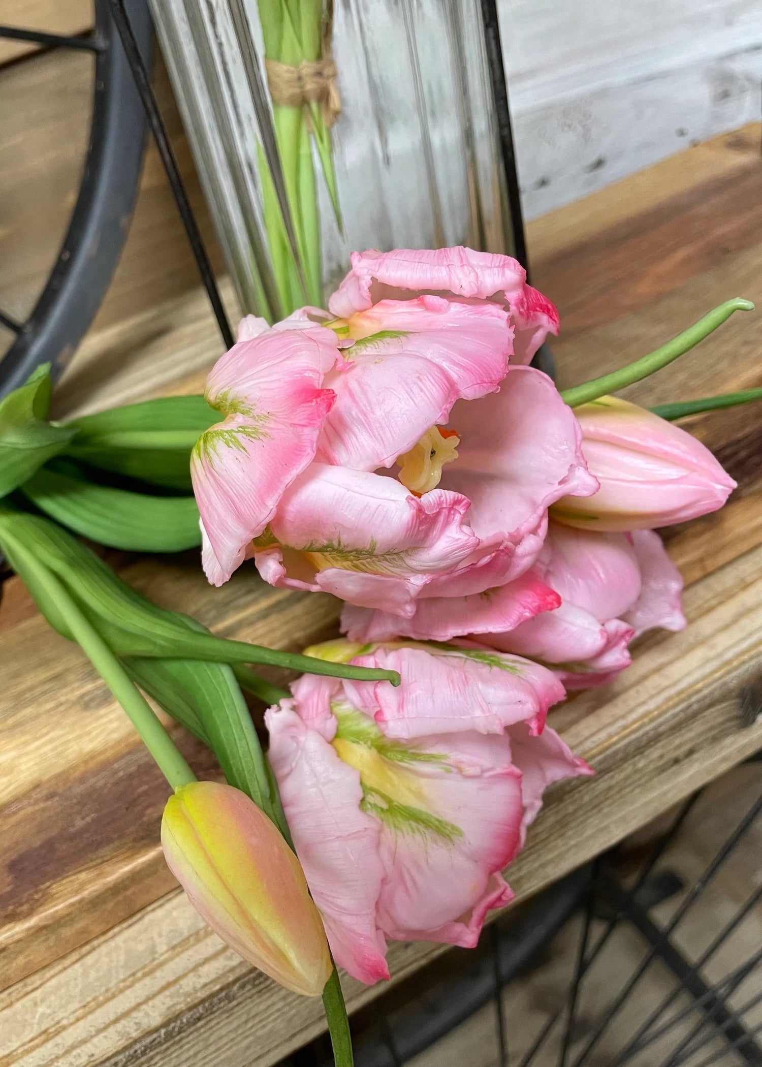 16" FRESH TOUCH PINK/GREENYEL TULIPA PARROT TULIP BUNDLE (3 FLOWERS & 2 BUDS TO A BUNDLE)