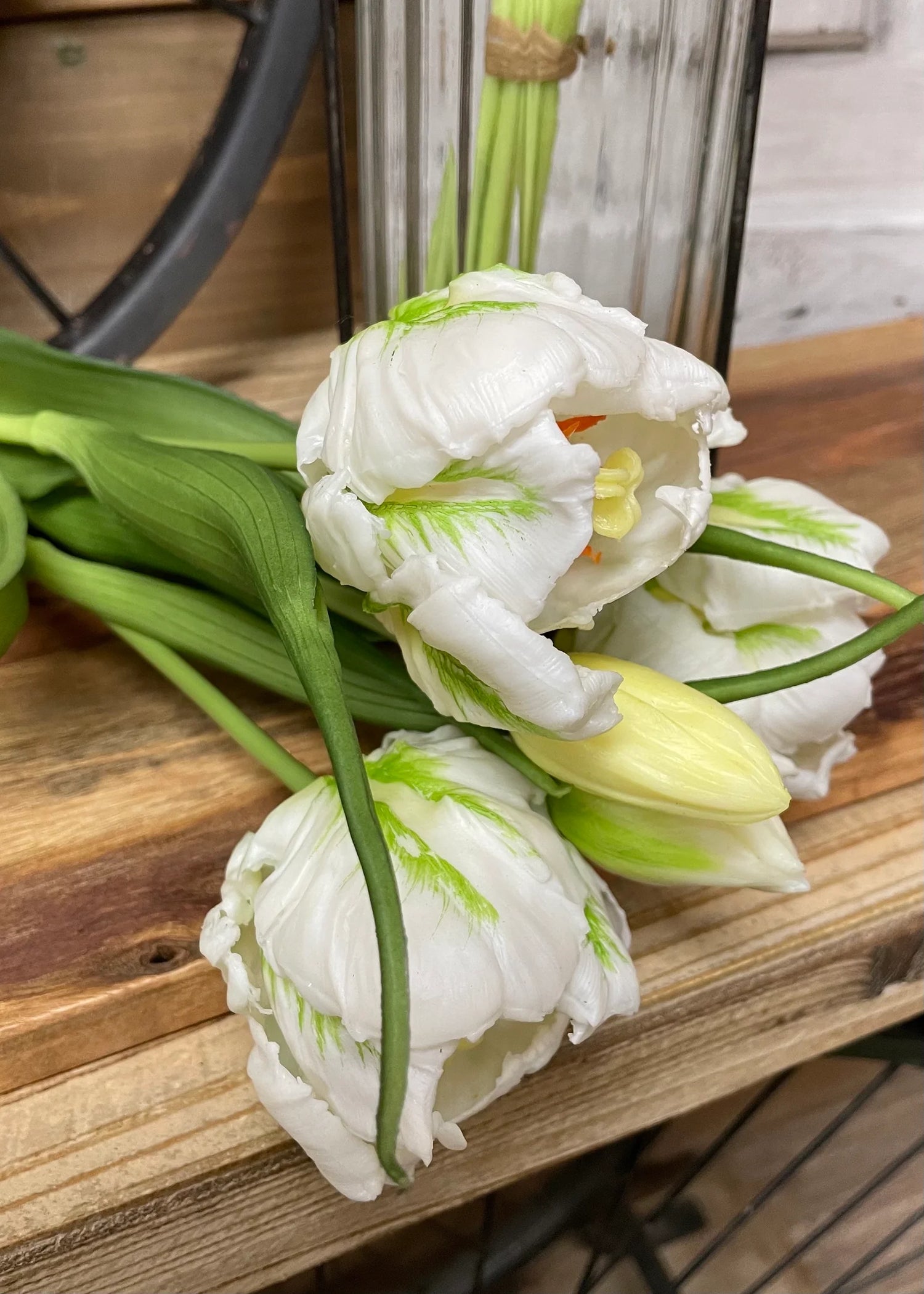 16" FRESH TOUCH WHITE/GREEN TULIPA PARROT TULIP BUNDLE (3 FLOWERS & 2 BUDS TO A BUNDLE)