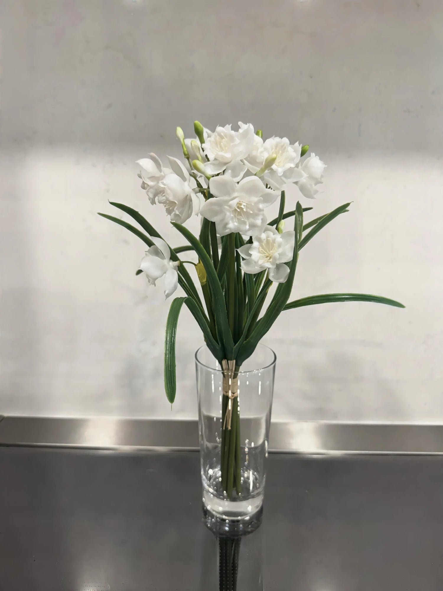 12" FRESH TOUCH WHITE PAPERWHITE BUNDLE