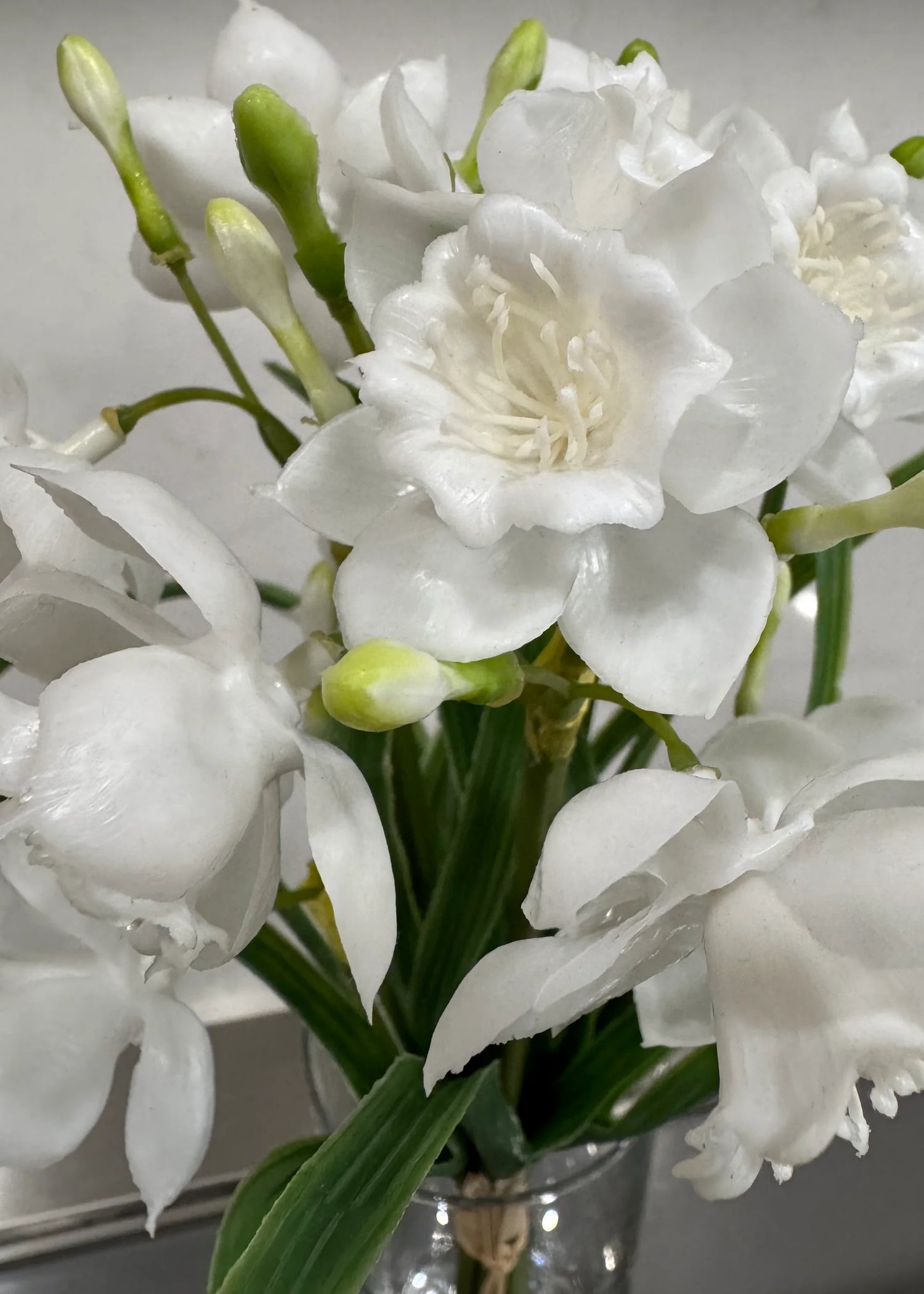 12" FRESH TOUCH WHITE PAPERWHITE BUNDLE