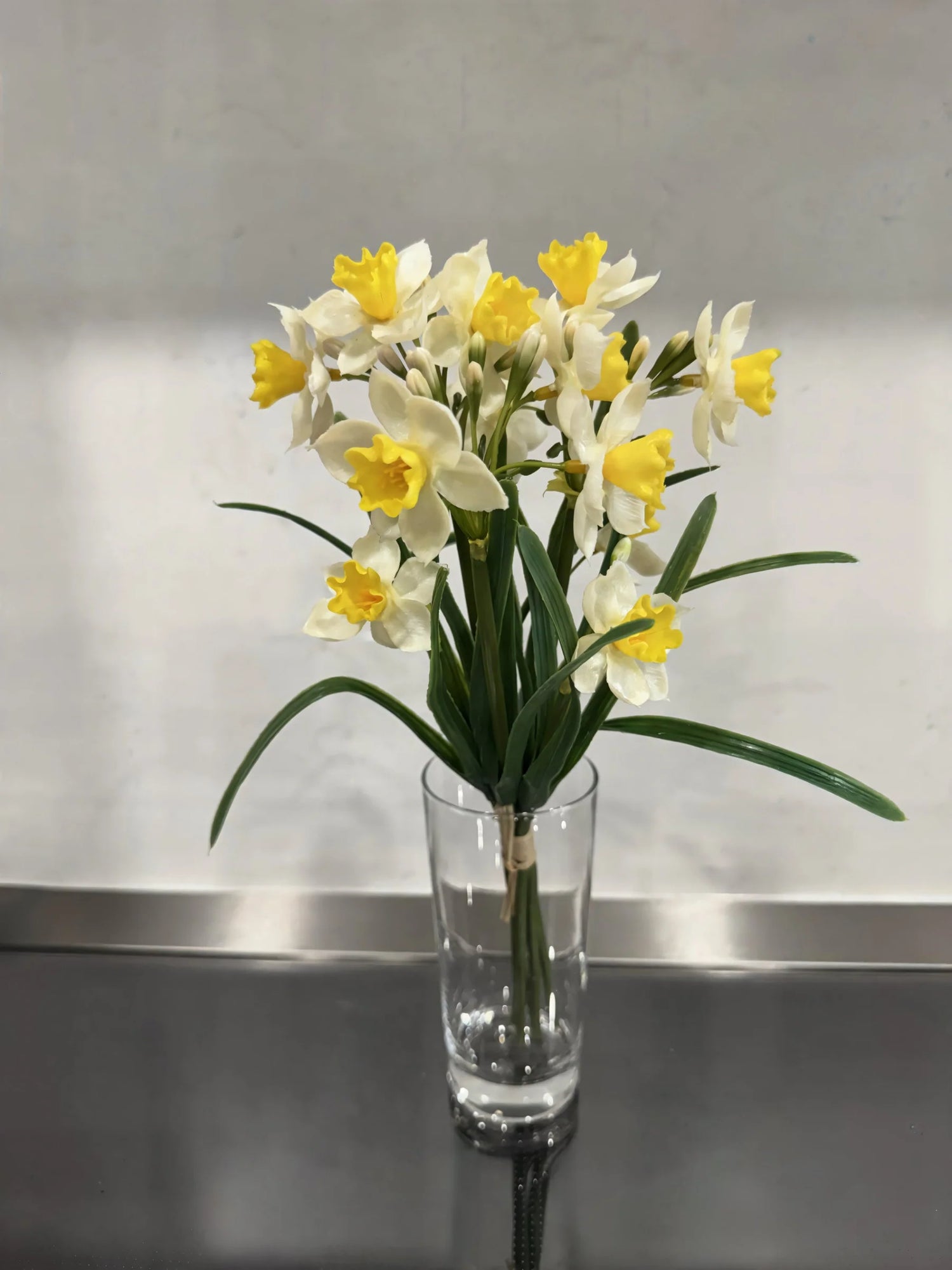 12" FRESH TOUCH YELLOW PAPERWHITE BUNDLE