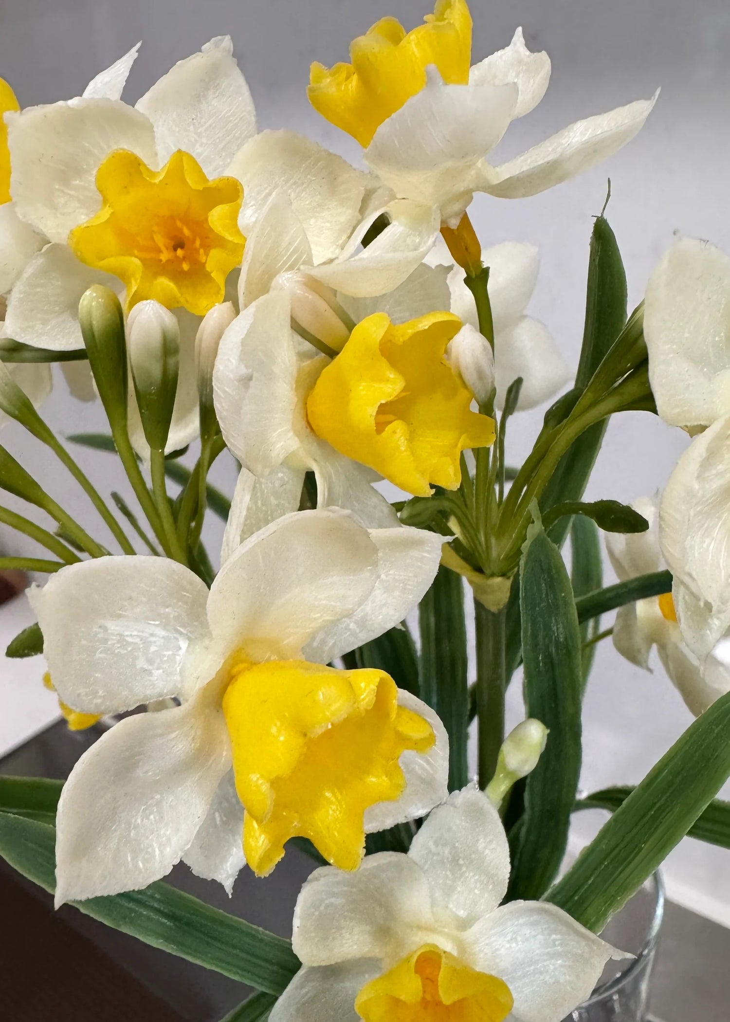 12" FRESH TOUCH YELLOW PAPERWHITE BUNDLE