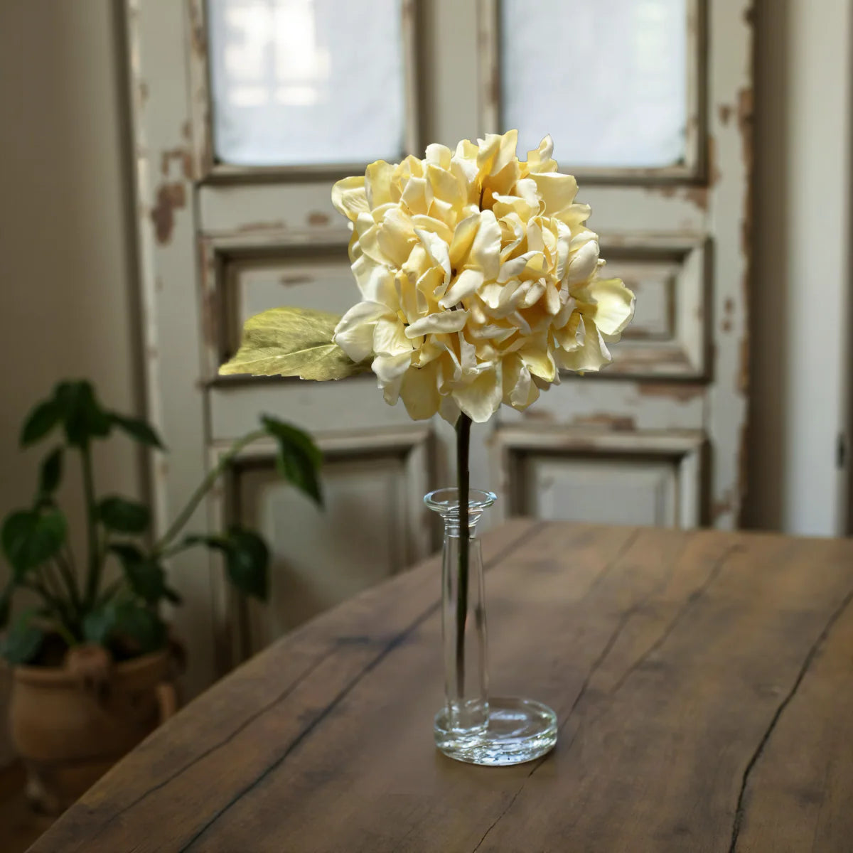 14" CREAM DRIED LOOK HYDRANGEA STEM