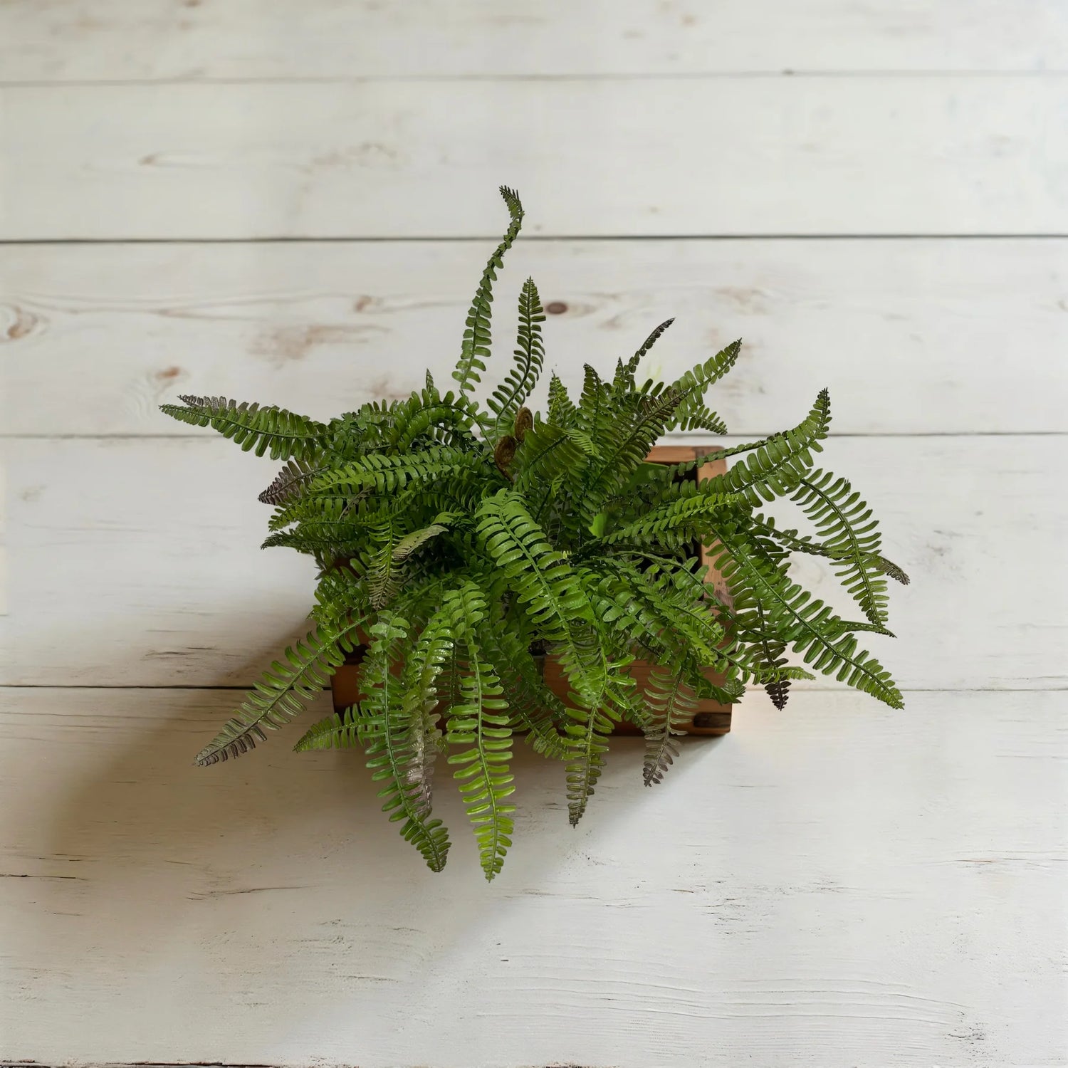 18" FRESH TOUCH BOSTON SWORD FERN BUSH