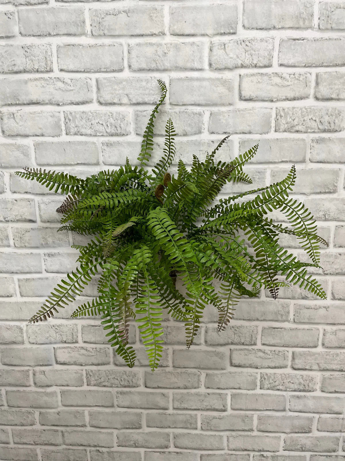18" FRESH TOUCH BOSTON SWORD FERN BUSH