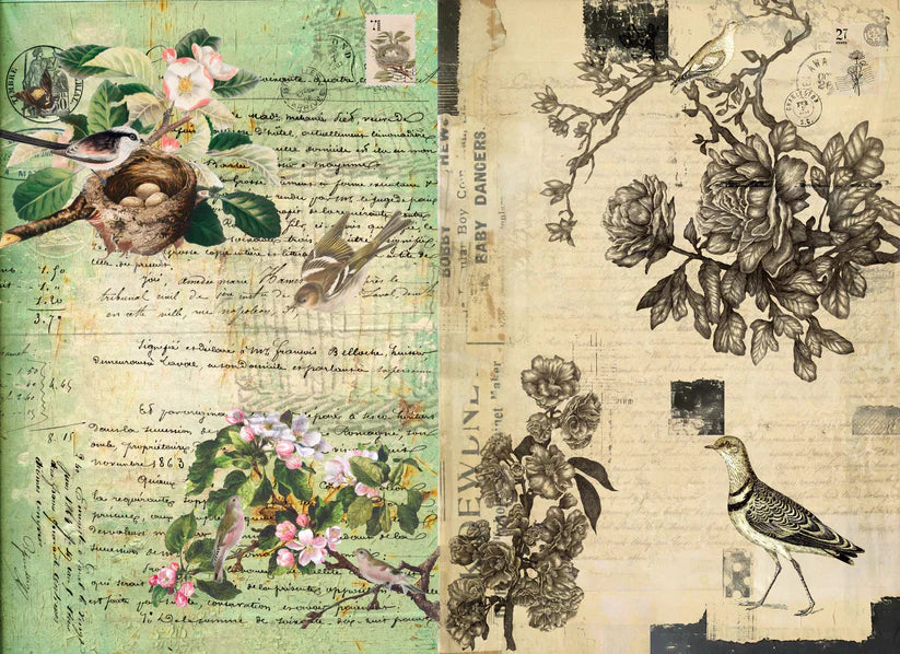 Botanical Blocks-ROYCYCLED DECOUPAGE PAPER --NEW RELEASE