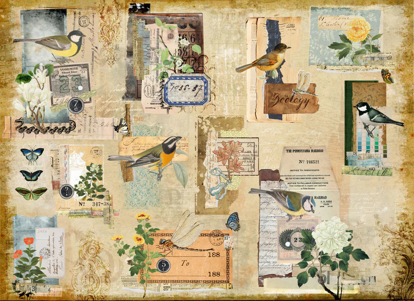 Scrappy Masterboard-ROYCYCLED DECOUPAGE PAPER --NEW RELEASE