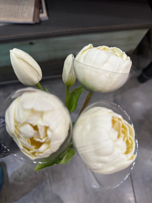 18" FRESH TOUCH WHITE PEONY TULIP BUNDLE (3 FLOWERS AND 2 BUDS TO A BUNDLE)