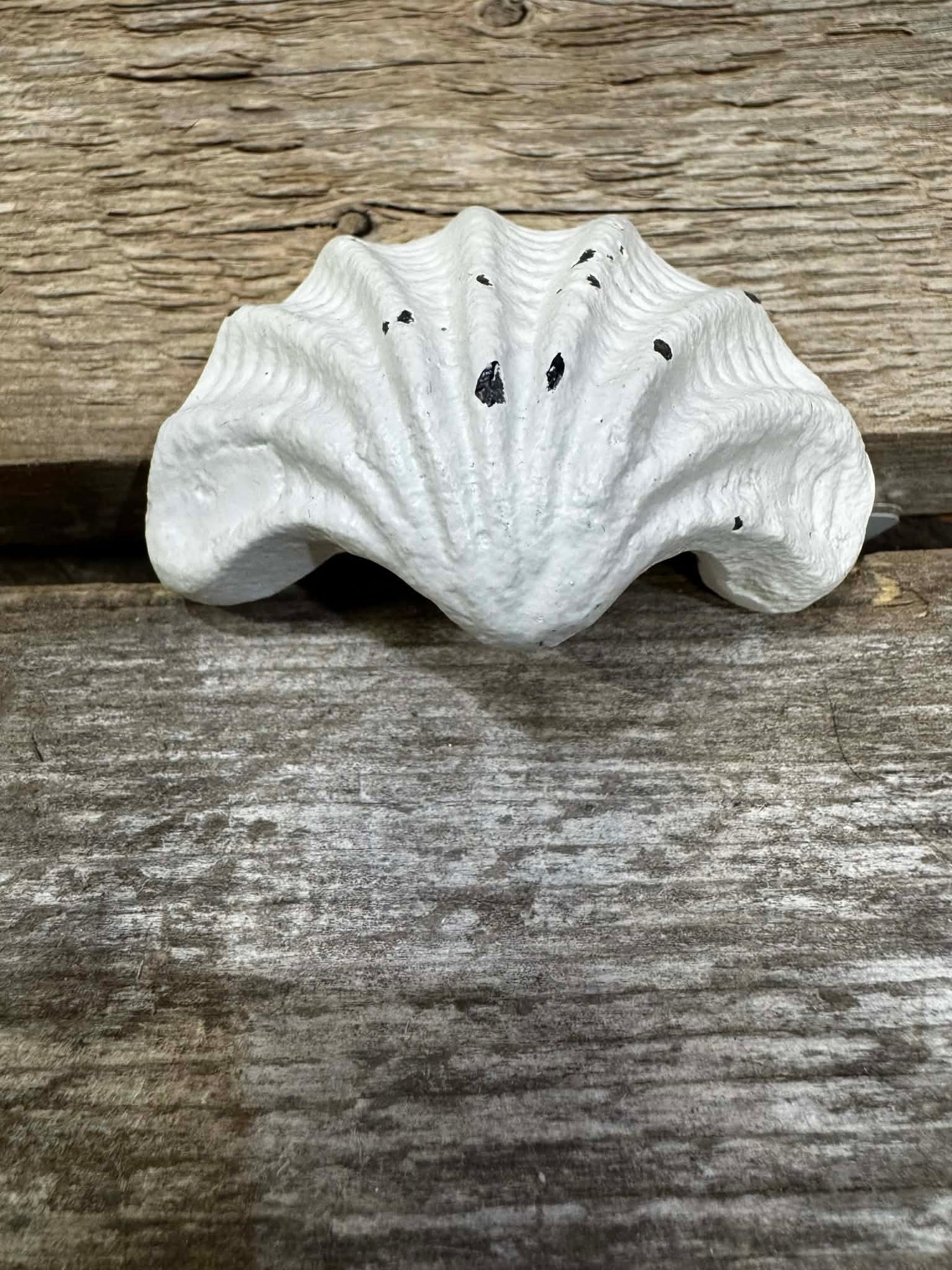 KNOB IRON ANTIQUE WHITE SHELL