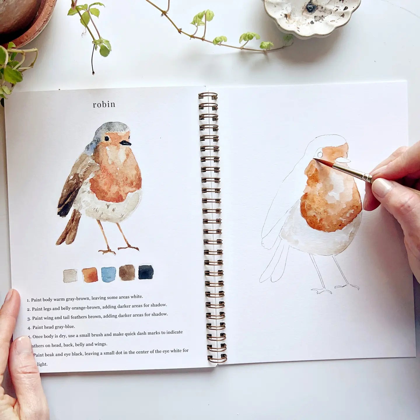 Emily Lex Water Colour Books-BIRDS