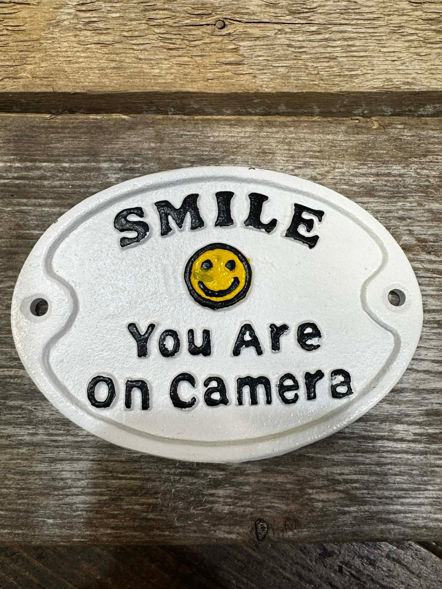 SMILE, YOU ARE ON CAMERA, CAST IRON SIGN
