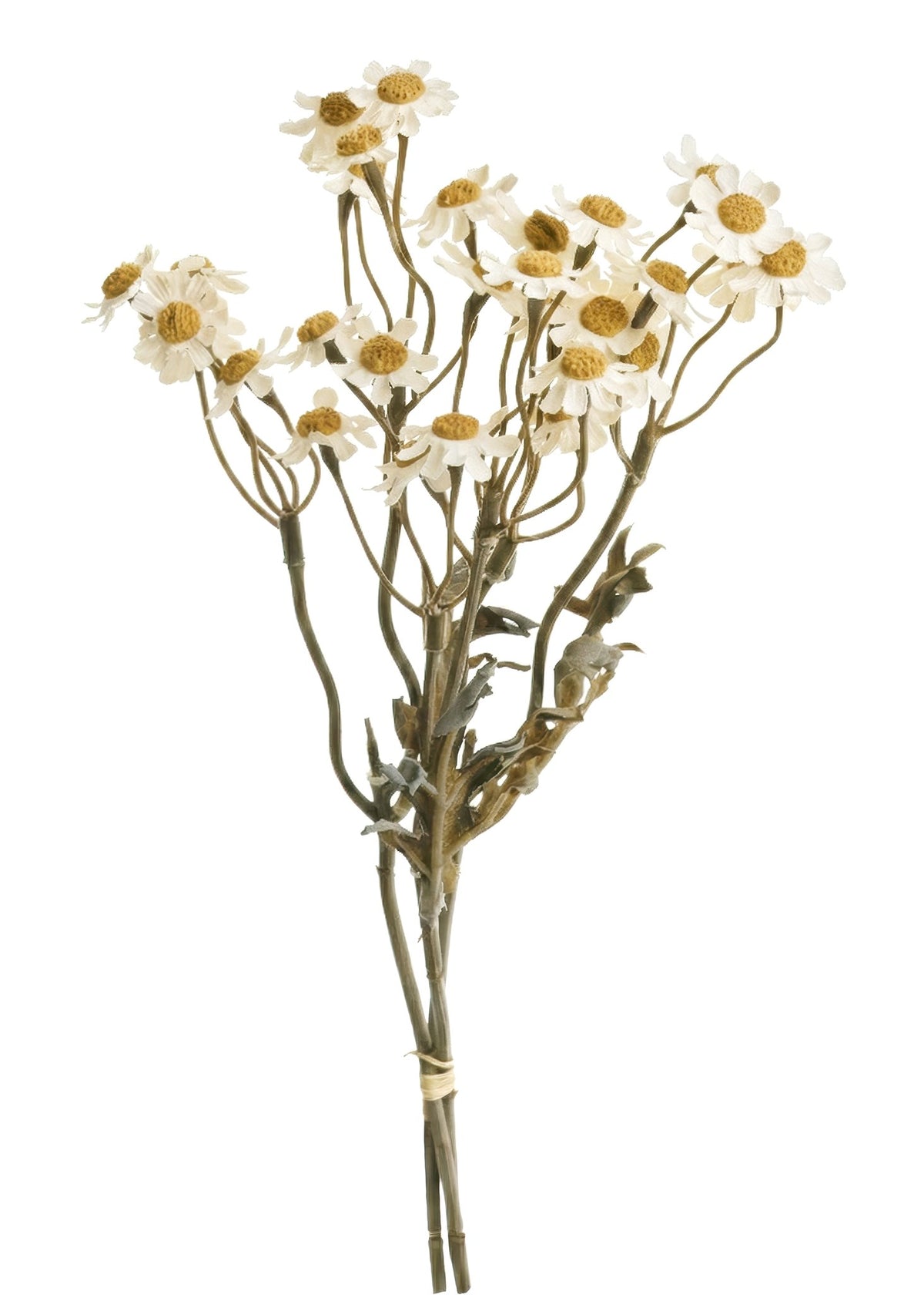 GERMAN CHAMOMILE BOUQUET AUTUMN WHITE 13"