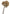 MEADOW GRASS BOUQUET LIGHT COFFEE 10"