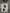 WILD MEADOW-STUDIOLIGHT-SMALL