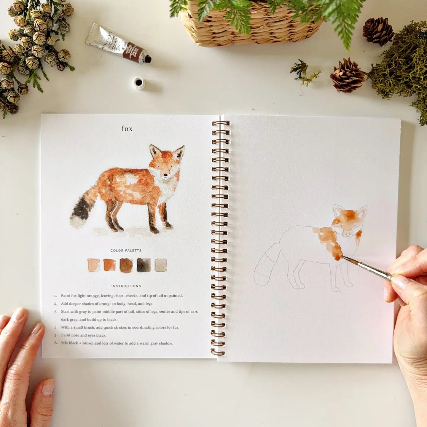 Emily Lex Water Colour Books-WOODLAND