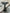 #71B  Whale Tail Hook -BROWNISH/BLACK