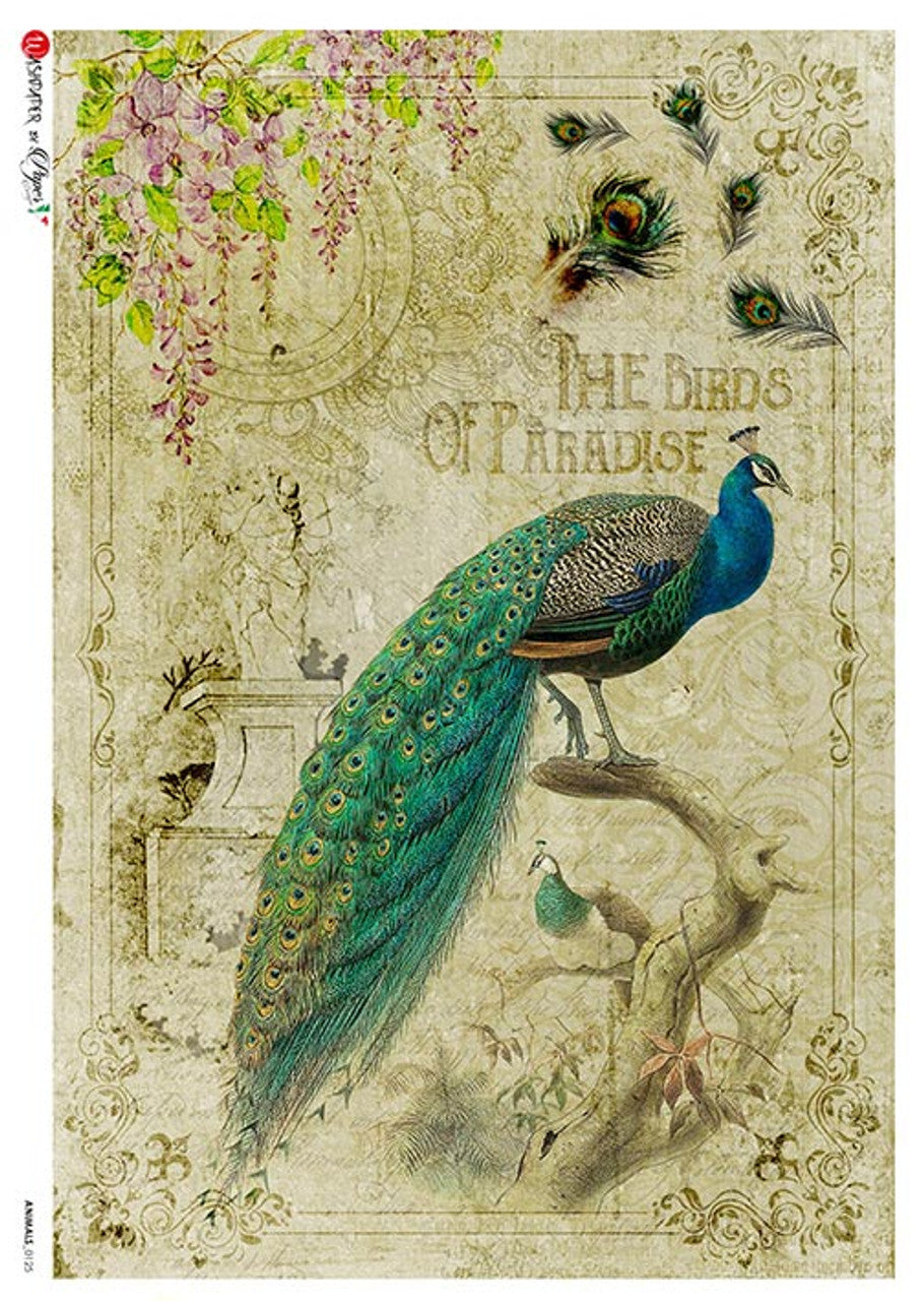 Paper Designs Birds of Paradise Vintage Peacock Rice Paper 0125 *