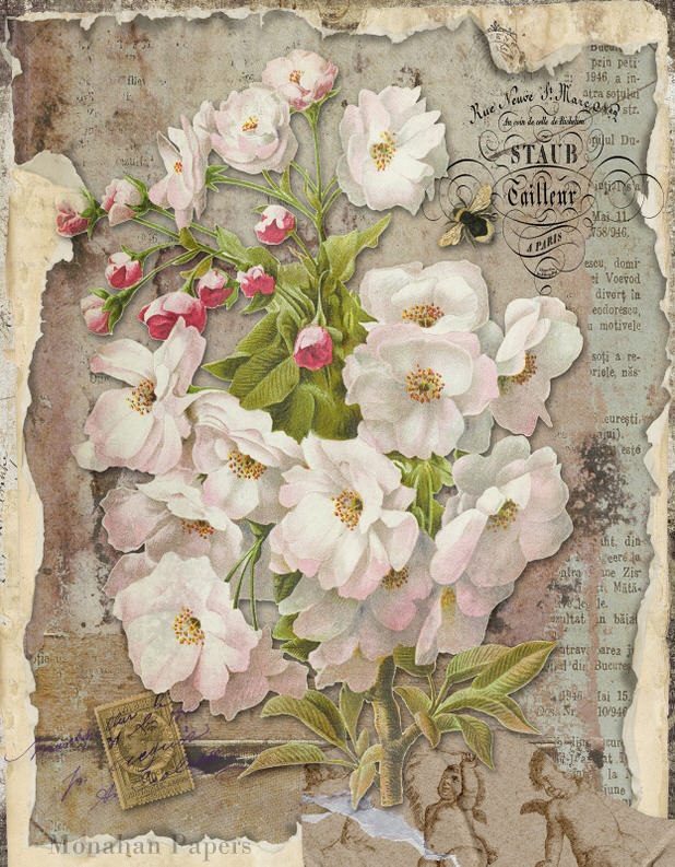 Botanical 142 - BOT142