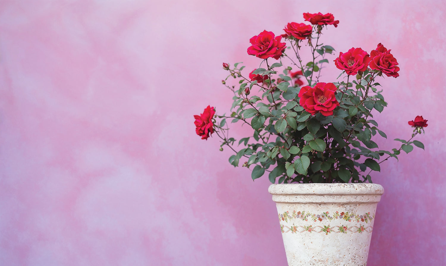 Ditsy Blooms IOD Paint Inlay (12″x16″ pad-8 sheets) Q2 2025 LIMITED EDITION