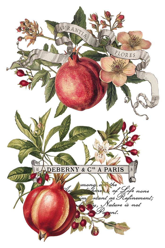 IOD Clementine Transfer (8″x12″) Q3 2025