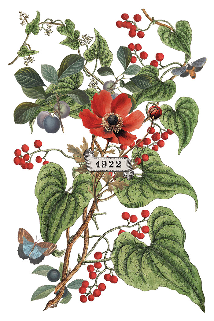 IOD Clementine Transfer (8″x12″) Q3 2025