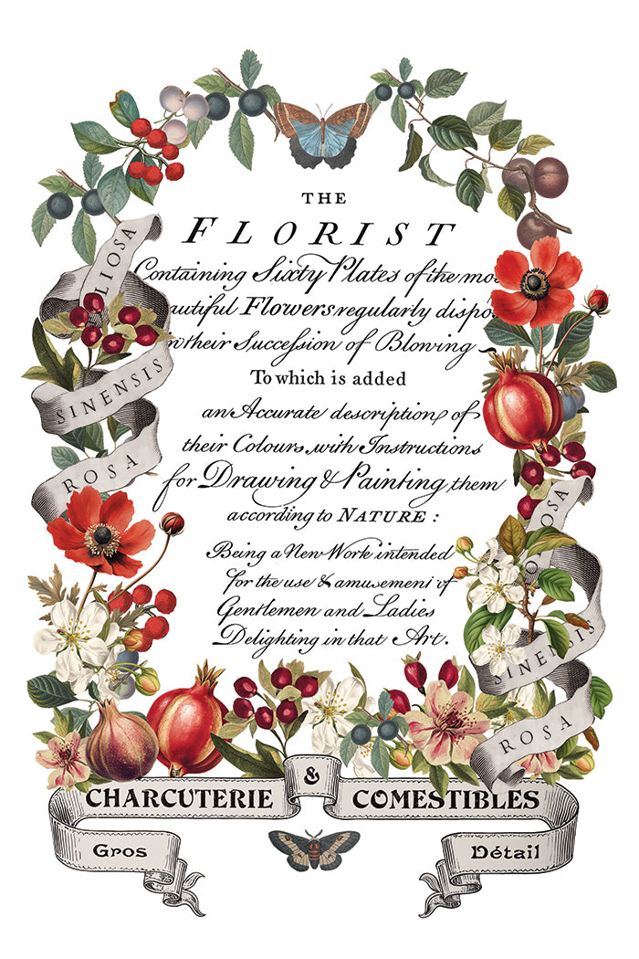 IOD Clementine Transfer (8″x12″) Q3 2025