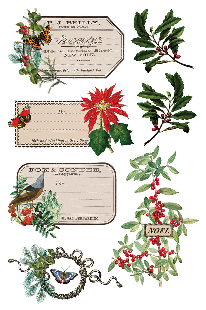 IOD Winter Botanist Transfer (8″x12″) Q3 2025