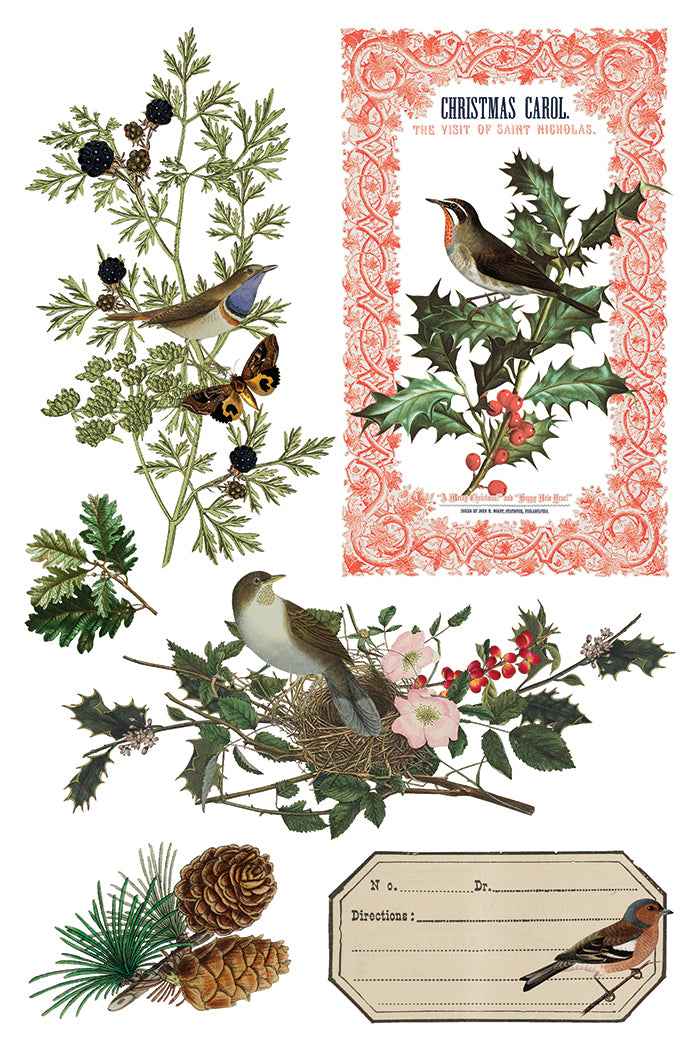 IOD Winter Botanist Transfer (8″x12″) Q3 2025