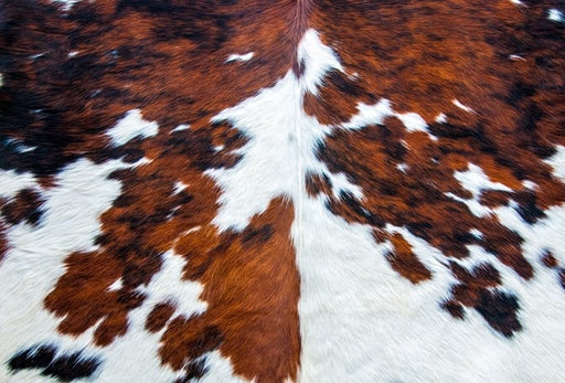 COWHIDE - RETIRED-ROYCYCLED DECOUPAGE PAPER