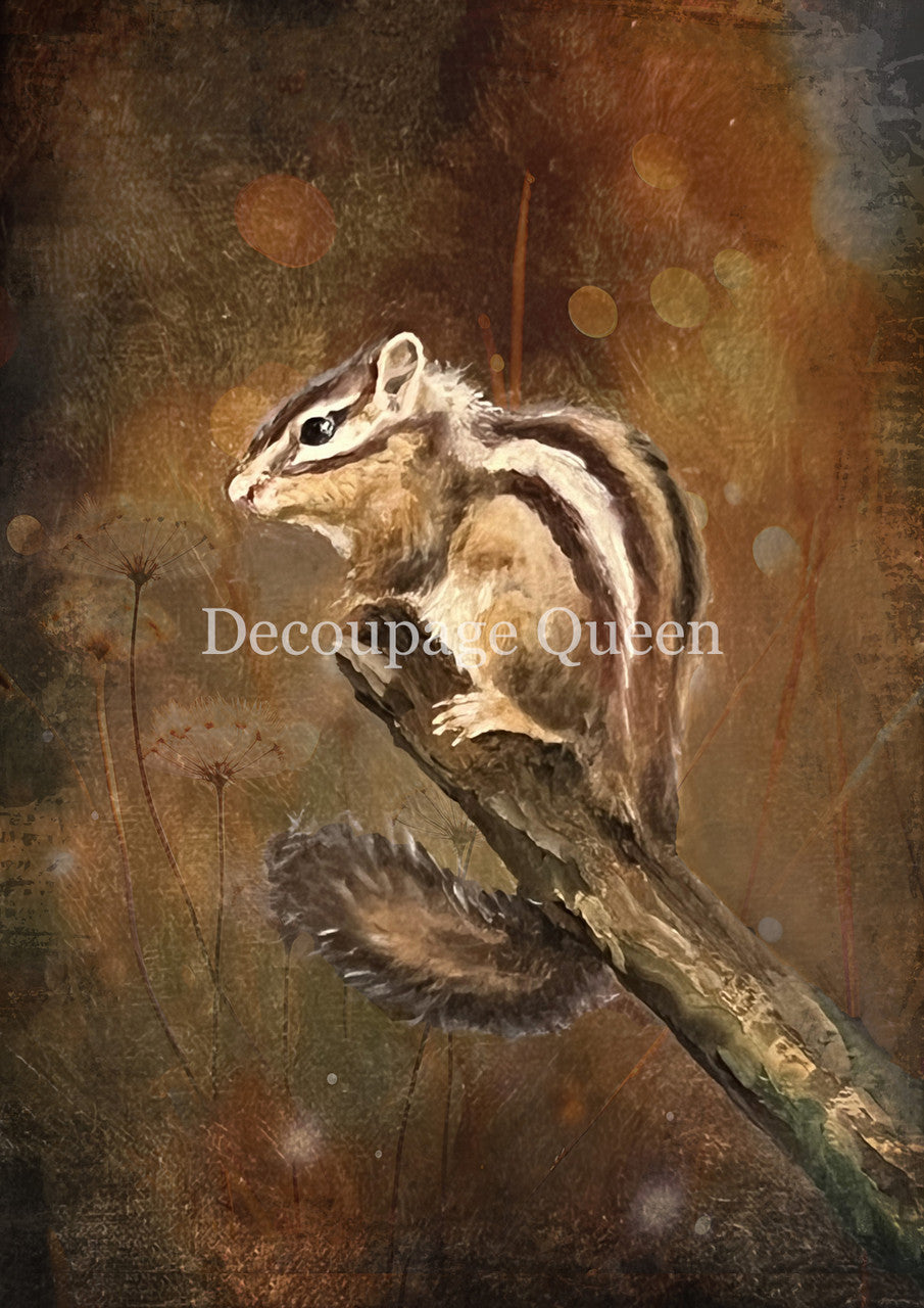 Decoupage Queen Teresa Rene Art Resting Chipmunk Rice Paper 0820