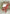 Santa's Cottage - Christmas in the Village 2026 - ellen j goods