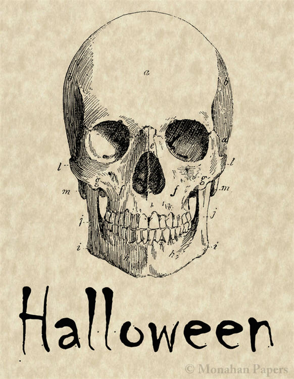 Halloween Skull - H43