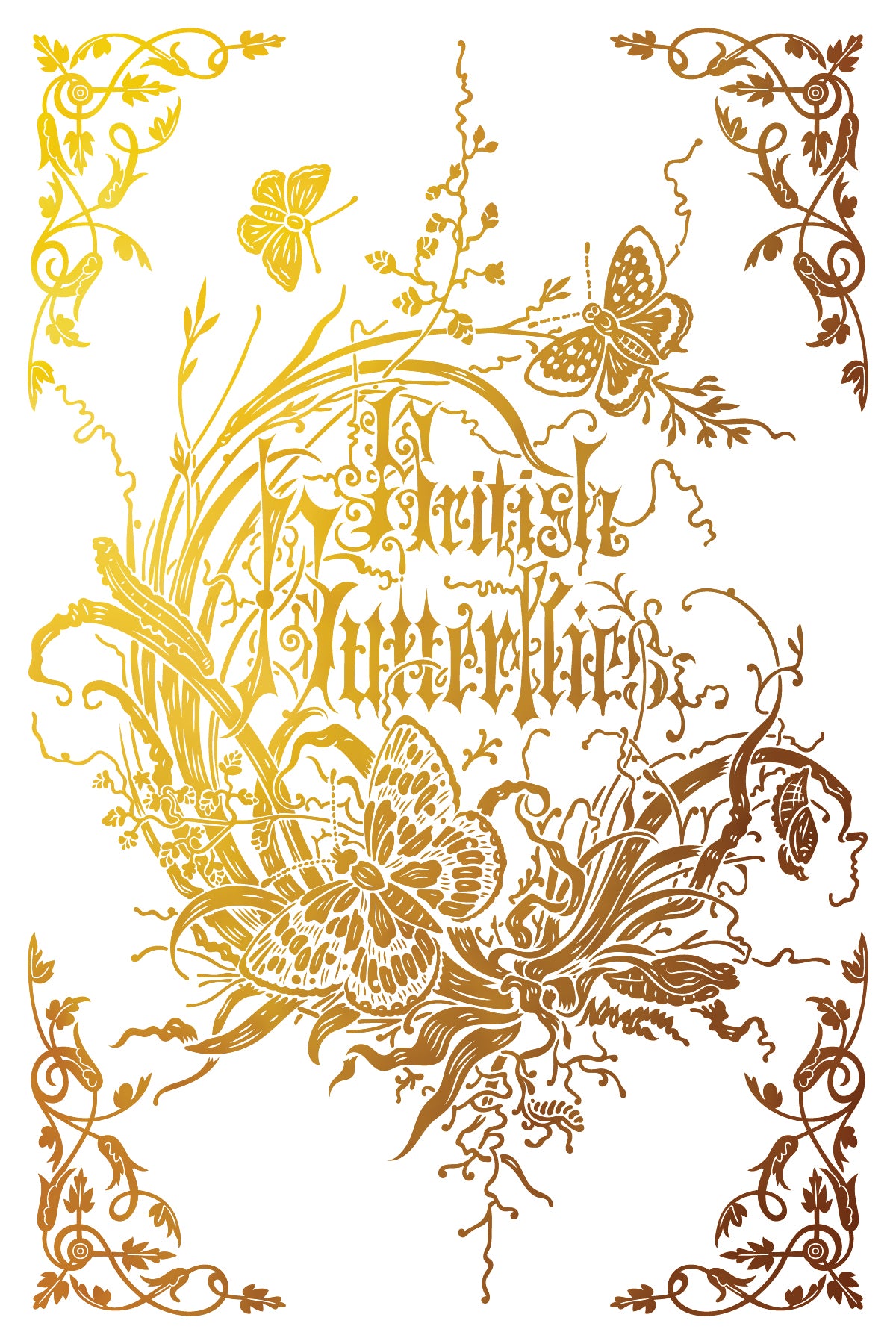 Athenaeum - IOD Gilded Transfer 8-8" X 12"