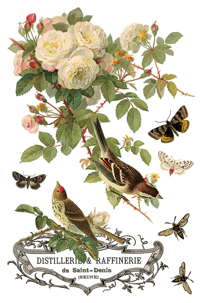 By Any Other Name IOD Transfer (8″x12″ pad-8 sheets )