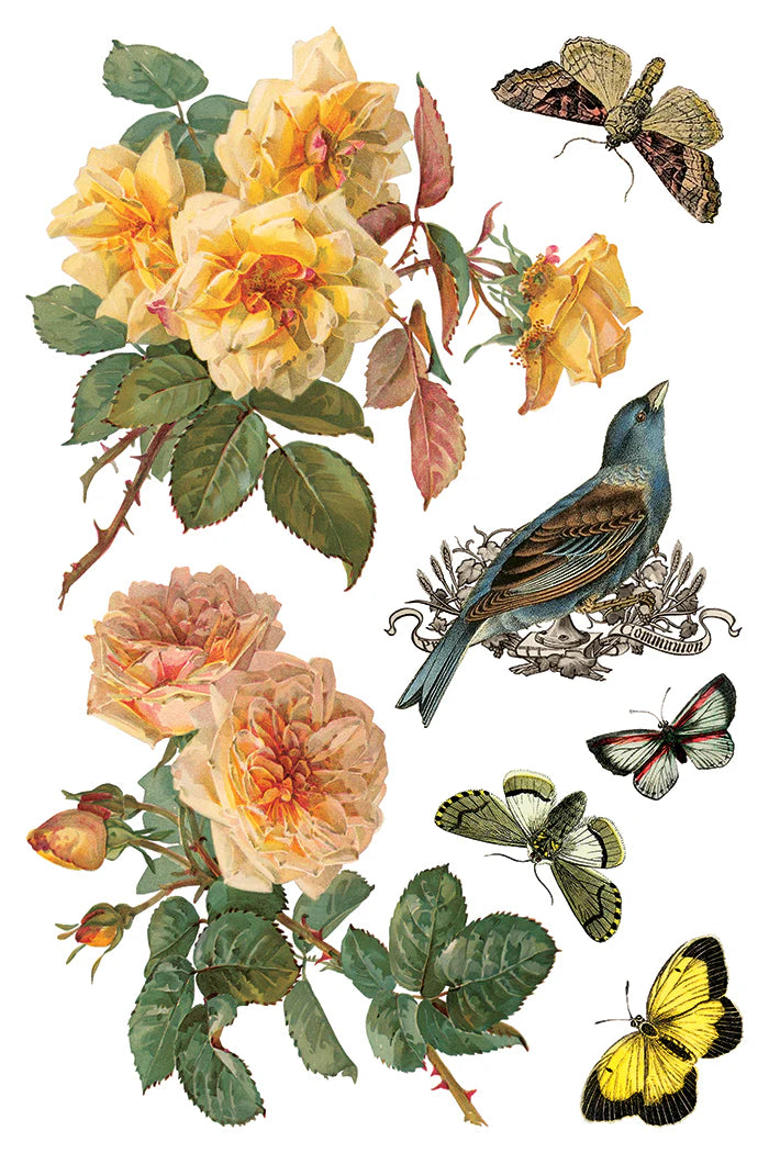 By Any Other Name IOD Transfer (8″x12″ pad-8 sheets )