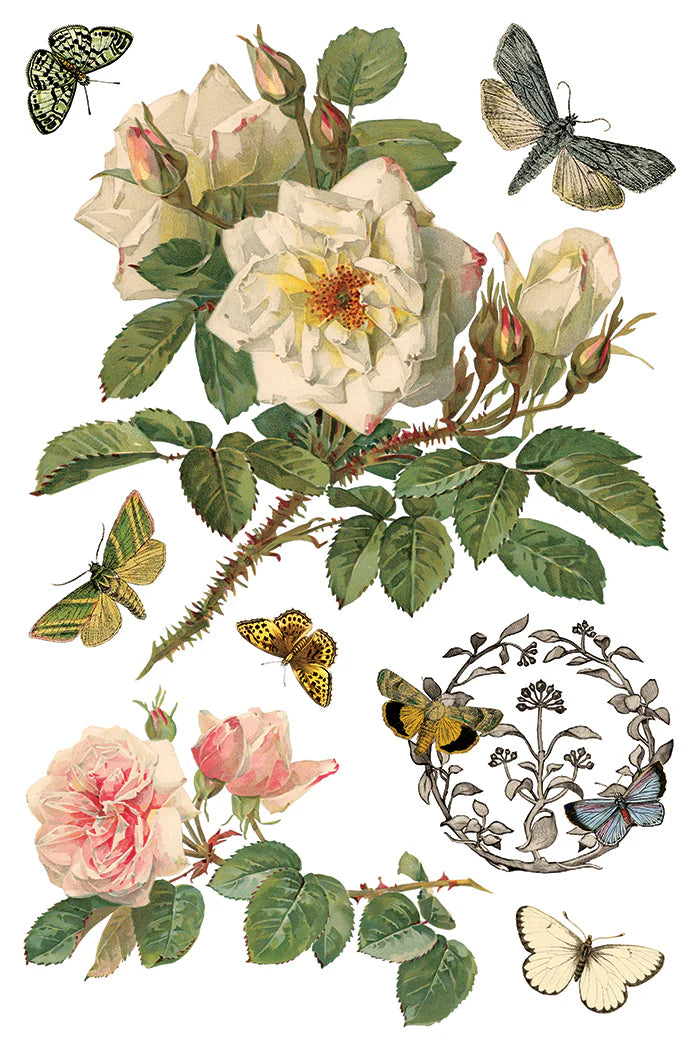 By Any Other Name IOD Transfer (8″x12″ pad-8 sheets )