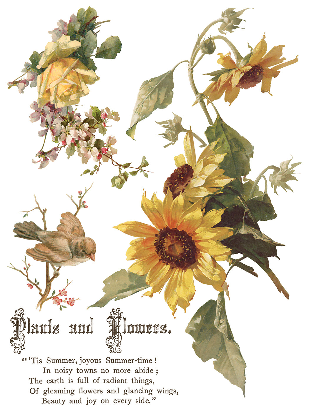 Flowers by the Poets IOD Transfer (12″x16″ pad-8 sheets)