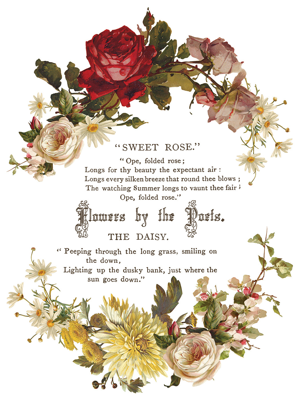 Flowers by the Poets IOD Transfer (12″x16″ pad-8 sheets)