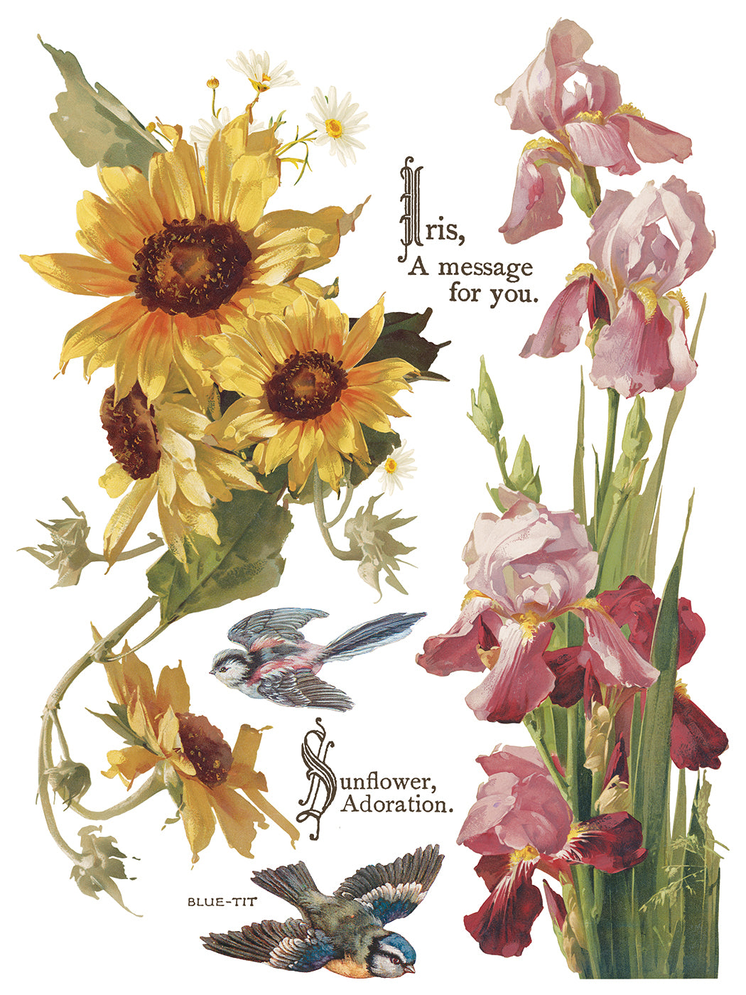 Flowers by the Poets IOD Transfer (12″x16″ pad-8 sheets)