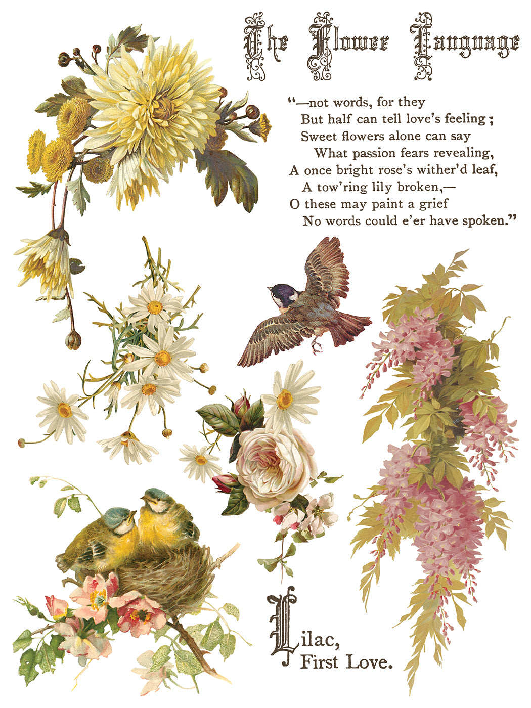 Flowers by the Poets IOD Transfer (12″x16″ pad-8 sheets)