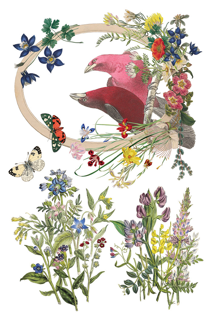 Flora Greca IOD Transfer (8″x12″ pad-8 sheets)