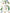 Marche Des Fleurs IOD Transfer (12″x16″ pad-8 sheets)
