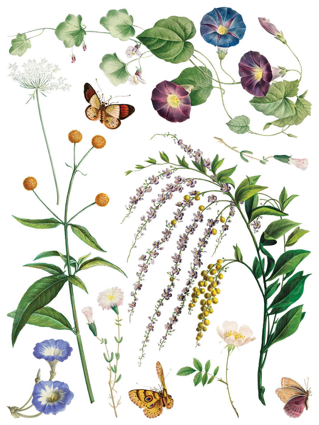 Marche Des Fleurs IOD Transfer (12″x16″ pad-8 sheets)