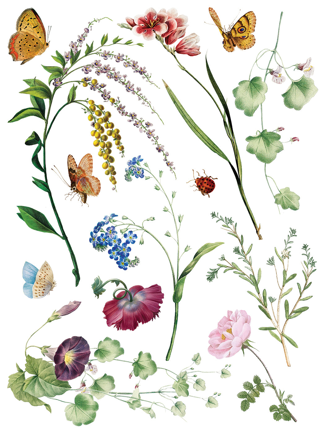 Marche Des Fleurs IOD Transfer (12″x16″ pad-8 sheets)